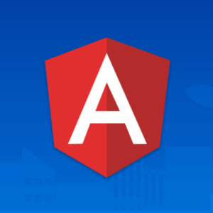 E-Course 607 Angular Development
